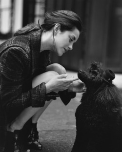 bohemea:  Marion Cotillard by Bruce Weber