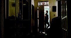 we are the walking dead