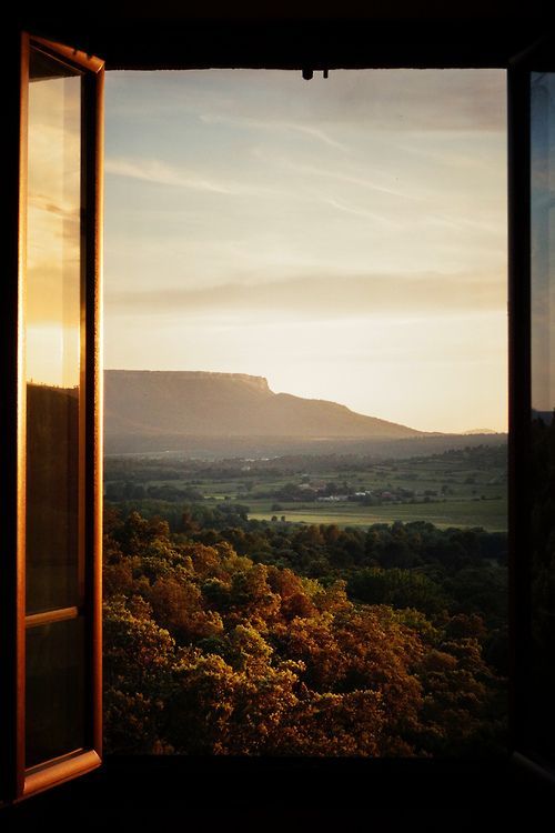 cozyinautumn:I can feel the crisp air already, can you fall lovers? 