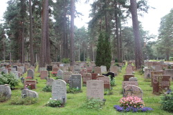 lussekatter: when i went searching in the wrong cemetery for dead’s resting place