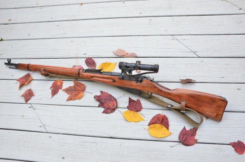 Mosin Nagant 91/30 PUOne of the most common World War II sniper rifles due to the large number of th