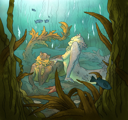 Some pals hanging out in a kelp forest, as you do.