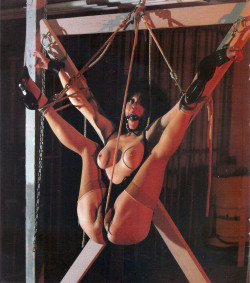 lonewolf1200:  Now that’s a crotch rope!!!!!