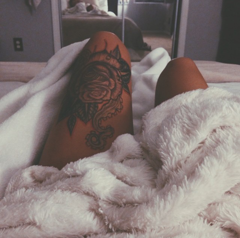 Wonderland ♡