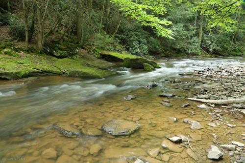 vandaliatraveler:I celebrated National Trails Day by doing the thing I love most: taking a hike in t