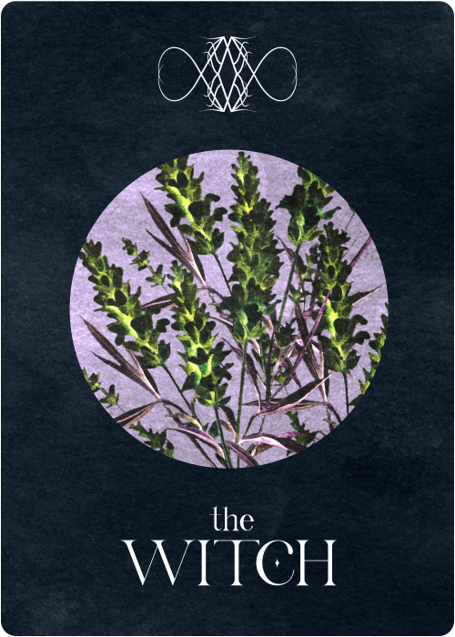 A dark blue paper-textured card with a watercolor-style purple circle in the center that holds several green-tinted lavender plant flowers. Below this, text reads: the Witch. Above the circle is a symbol similar to an infinity symbol with an ornate ornamentation in the center.