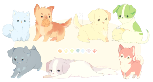 mozarelli:  rainbow puppy ヽ(*・ω・)ﾉ