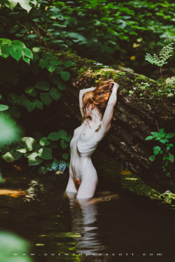 corwinprescott:    “Into the Wild”Philadelphia,