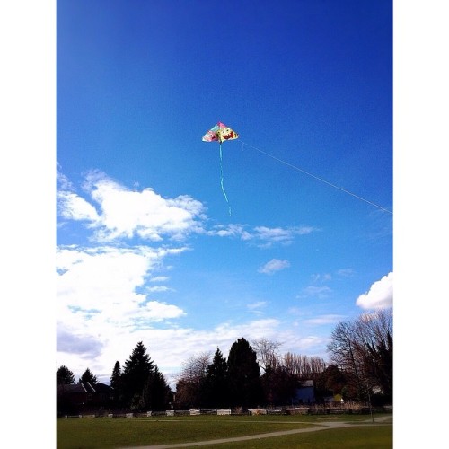 Perfect weather ☀️….. So my kids decided to fly their Spongebob kite  #カイト #青い空 #空 #bluesky #