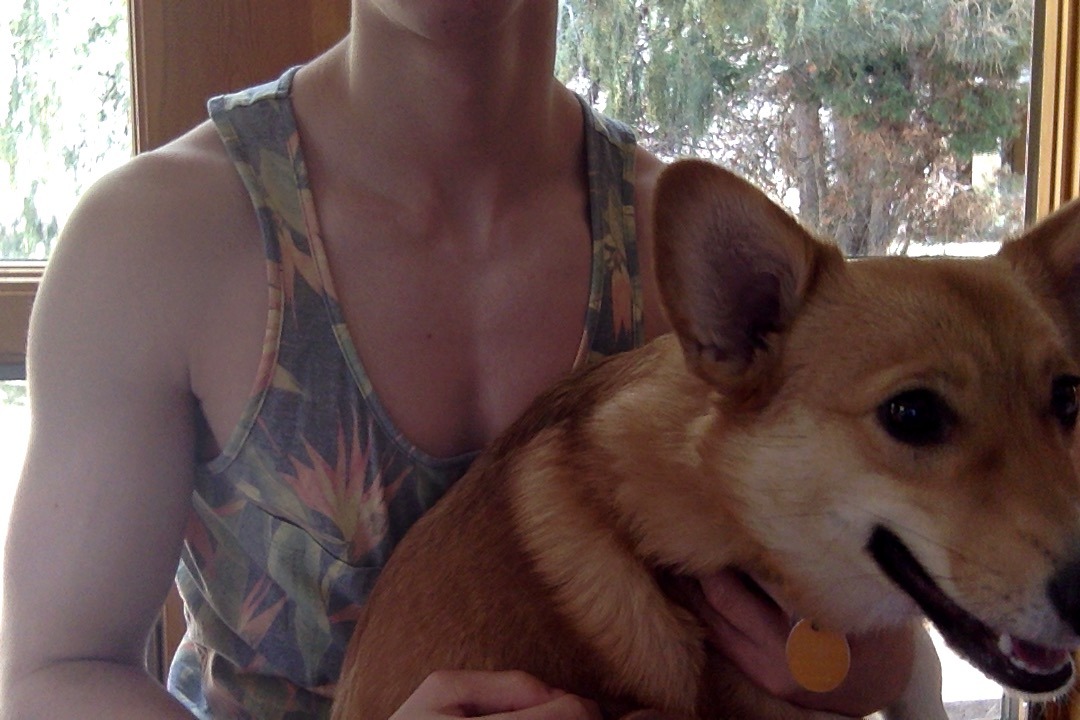 vodakmom:  make my dog famous