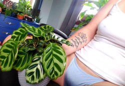 reformed-misfit:Plant porn, Tumblr version. 