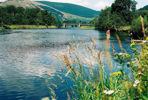 fiskarna: River Tweed at Traquair by BazzaStraße on Flickr.