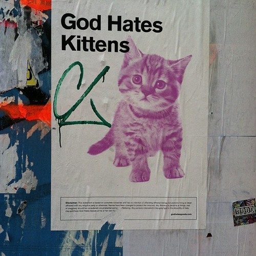 What a prick #godhateskittens #kittens #catsofinstagram #cats #nottrue #catownersoftheworldunite #god