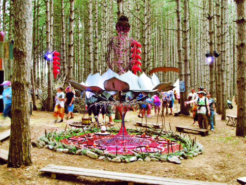 shade-16kj:  I want to get lost in the forest! 