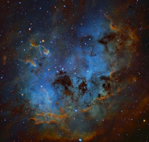 galactic-centre: The Tadpoles of IC 410  Image Credit &amp; Copyright: Mark Hanson This tel