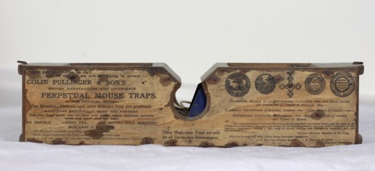 155-year old mouse trap claims its latest victim