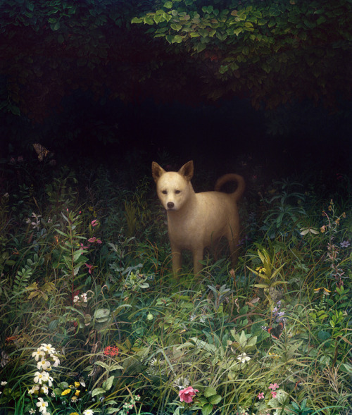 Dog by Aron Wiesenfeld