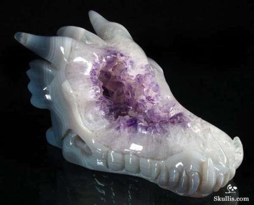 mineralists:  So I found out Skullis makes dragon skulls now… It’s my two favorite things in one and I’m incredibly excited. SO. Here’s a spam of these as well.Skulls in order of appearance:Amethyst Agate GeodeRed Crazy Lace AgateBlue Tigers EyeRainforest