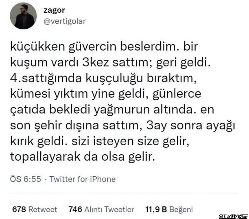 Oevladı güvercini tekrar...