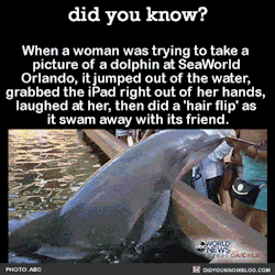 did-you-kno:  When a woman was trying to