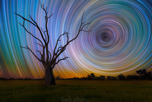 spinningblueball:Star Trails By Lincoln Harrison
