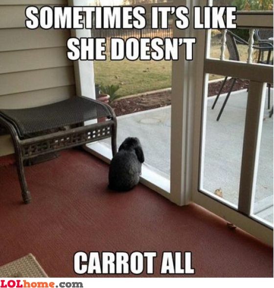 lolfactory:  Se doesn’t care- funny tumblr - lol rofl wtf pics