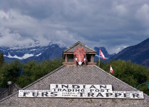 Oh the sweet memories.Horseback-riding trip in the Canadian Rockies, Alberta, Sept. 2014