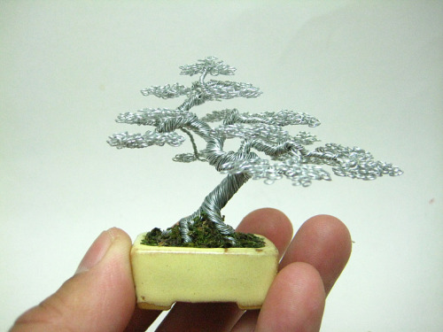 variablejabberwocky: ashkatom: pixieorsomething: ianbrooks: Wire Bonsai by Ken To Bonsai is a r