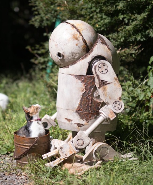 butterynutjob: I 100% believe that this robot is completely captivated by these kittens