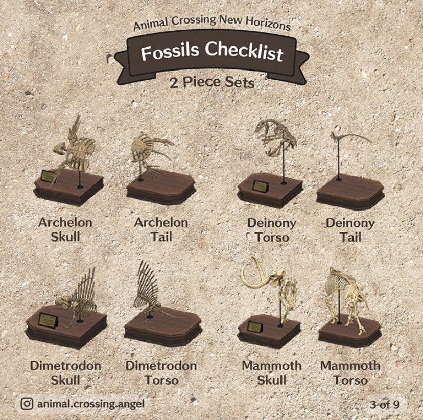 Animal Crossing A Full Fossil Checklist From The Wonderful Animal Crossing A Full Fossil Checklist From The Wonderful