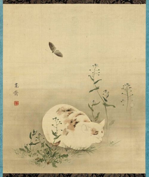 fujiwara57:
“ “Kakemono - “cat and Butterfly” de
”
Kansai Mori 寛斎森 (1814 - 1894). ”