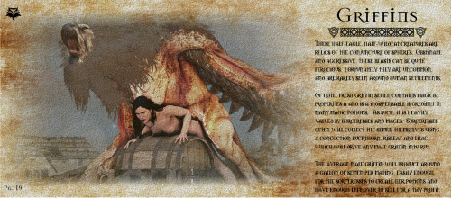 Witcher Bestiary: GriffinsRequested griffin adult photos