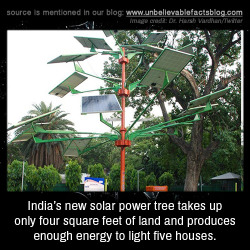 Unbelievable-Facts:  India’s New Solar Power Tree Takes Up Only Four Square Feet