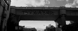 https://69.media.tumblr.com/d9a95bea43791dd02d1226189868ef8b/tumblr_mqbw2hvUVv1s4sf46o1_500.gif