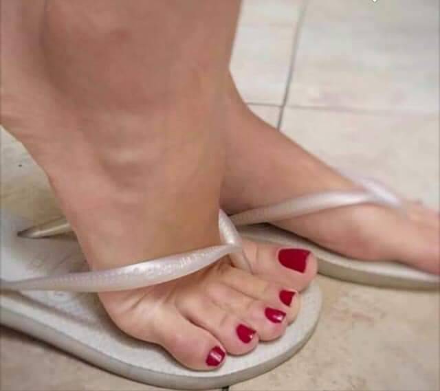 lovetoes1:  