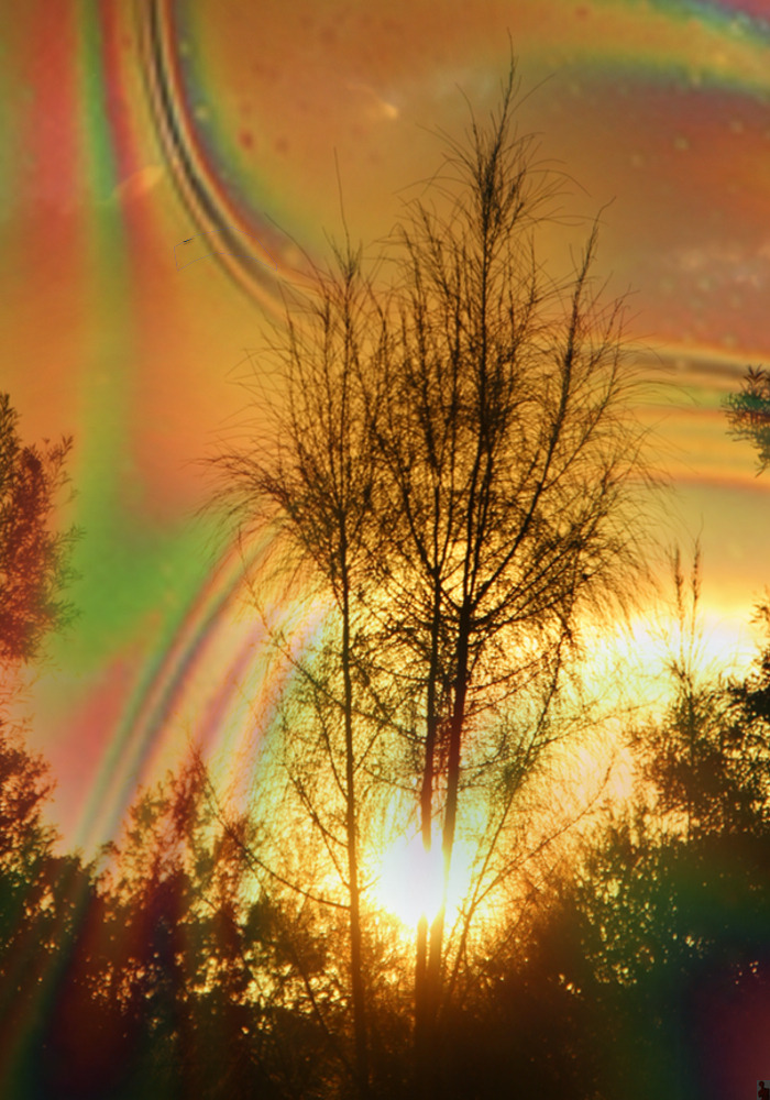 pureblindingcolour:   light seeker   by pureblindingcolour 