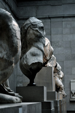 fiammaditd:  A part of the Parthenon (Παρθενών) marbles, British Museum. 