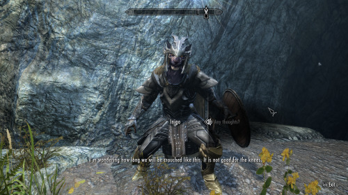 mirelurk-cakes:nerdypug:onestupidadventurer:Inigo is just the best follower ever.Is he a mod though?