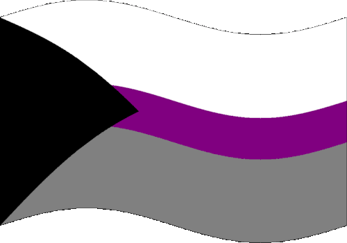 Jumbo Demisexual Flag