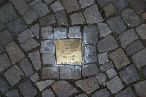 sunflowersayings:richythegrey:thatswhywelovegermany:Stolpersteine — Stumbling StonesGerman art