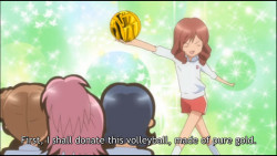 newtypezaku:  A youth volleyball has a circumference