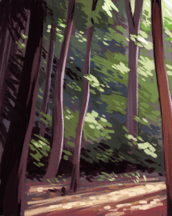 kerriaitken:  Some foresty speedpaints. 