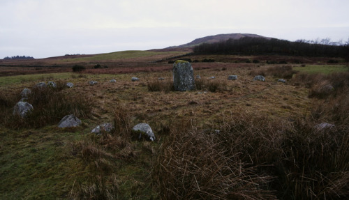 thesilicontribesman:Glenquicken Stone Circle, nr Creetown, Dumfries and Galloway, Scotland, 2.1.18.A