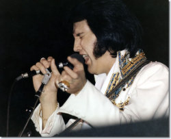 time-slipsaway:  Nov 28, 1976 – Elvis Presley