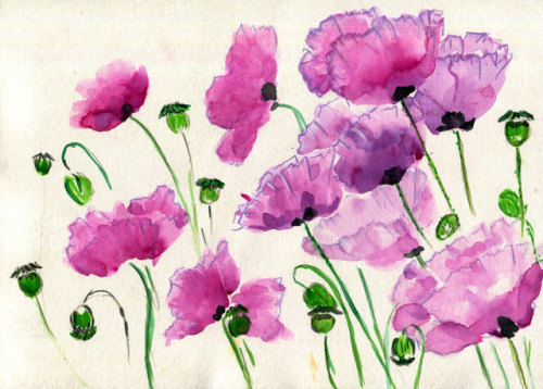 Wonderful artwork of KateHavekostFineArt “Left Afield of Poppies” She has been