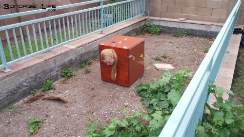 greyhoundsowner: Sometimes greyhound needs a little alone time, a chance to commune with nature. Those are perfect for her Box. Nice and compact in her tiny cell, only her head sticking out, and that still limited so she cannot truly look around. She’ll