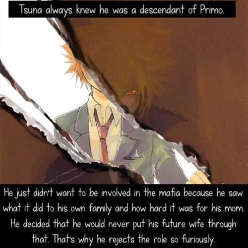 Tsuna Always Knew He Was A Descendant Of Primo.