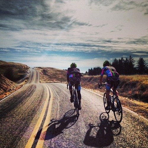 dankuhh:  castellicycling:  Yup, you missed this today. @beardevteam #beartamfondo via @hooptie  I m