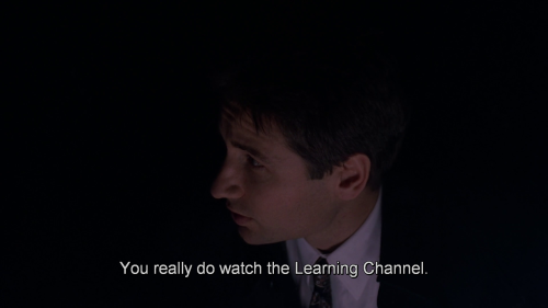 ‘You really do watch the Learning Channel‘