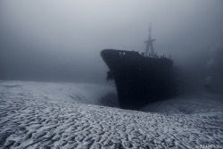 thingssheloves:  Hai Siang by Réunion Underwater